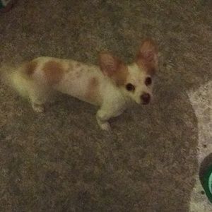 Meet your Posher, Cynthia